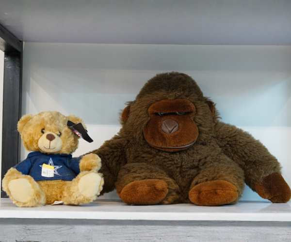 Used Toys for Sale | Trusted Preloved Toys Supplier – Noble Impex